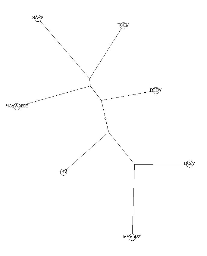 Phylogenetic tree of coronaviruses. tetranuc.